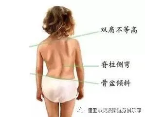 如何制定智能篮球训练计划_2